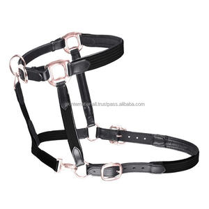 Équipement équestre écologique pour chevaux licou en cuir et nylon à triple couture avec du matériel en laiton doré rose de luxe - Product Image 1