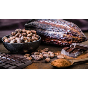 เมล็ดโกโก้คุณภาพสูง - เมล็ดคาเคา - เมล็ดช็อกโกแลต - Product Image 4