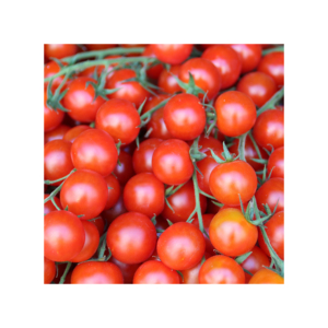 Tomate Fresco de Alta Calidad para Exportación, en Venta - Product Image 6
