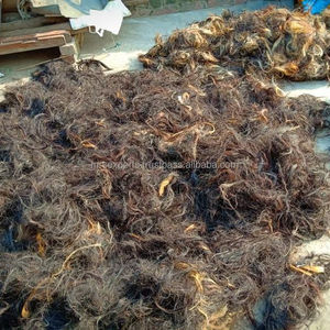 Pure Prestige: 100% pelos de cola principal de caballo de búfalo de calidad superior a precios muy asequibles por M. R. S. EXPORTACIONES - Product Image 1