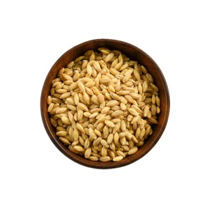 Cebada de Grano Limpio y Recogido para Alimentación Animal, Exportación, Beneficios Nutricionales Naturales para Granjas Ganaderas, Compradores Mayoristas - Product Image 5