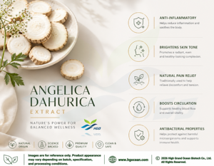 Suministro directo de fábrica HGO de extracto de Angelica Dahurica natural puro (grado alimenticio) Especificación 10:1 (extracto de proporción) - Product Image 4