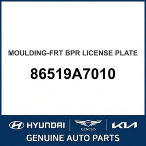 Forte Nuevas Molduras y Adornos para Carrocería 86519A7010 - Product Image 1