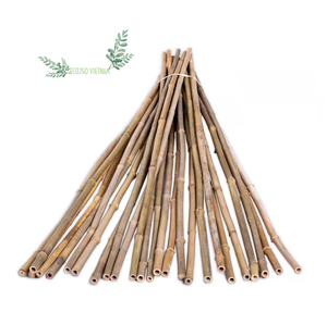 Natural <b>Bamboo</b> Pole <b>Bamboo</b> Stake for Plant Support Can Customize Size Packing With Cheap Price by ECO2GO VIETNAM - Product Image 2