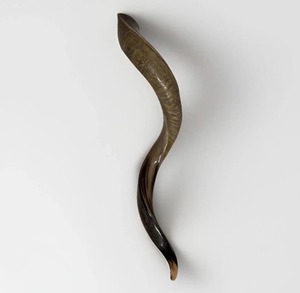 Corne à souffler professionnelle, instrument de musique pour événements en plein air, célébrations, fans de sport, fêtes et activités de divertissement - Product Image 1