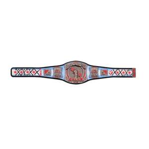 Ceinture de championnat réplique de la série Signature CM Punk 434-Day Record - Product Image 3