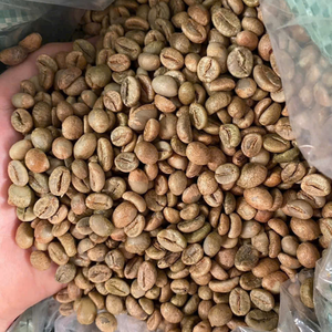 Grains de café vert Robusta bruts 95% mûrs, procédé Honey, sac de 60 kg, vente en gros, usine Vietnam, qualité B2B, export premium - Product Image 2