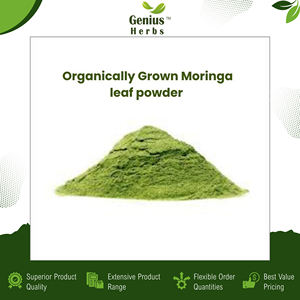 Poudre de feuilles de Moringa de qualité supérieure, détox naturelle, superaliment, poudre nutritionnelle verte, stimule l'énergie, la vitalité, l'immunité, renforce la santé du corps - Product Image 3