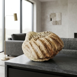 Escultura de Conchas Marinas Hecha a Mano por Shellia, Decoración Rústica Costera para Mesa, Obra de Arte Decorativa para el Hogar, Tazón de Conchas - Product Image 2