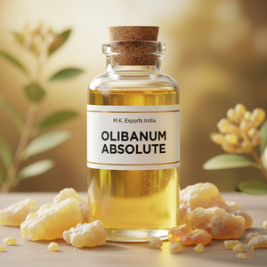 Aceite Absoluto Puro de Olíbano (Boswellia serrata) y Franquincienso, Extraído por Solvente, Grado Perfumería Natural, Proveedor Mayorista a Granel - Product Image 1