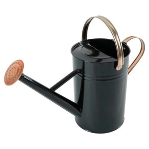 Turquoise Metal Watering Can with Bird and Flower Design for Gardening Use Leak Proof <b>Decorative</b> Watering Can - Product Image 6