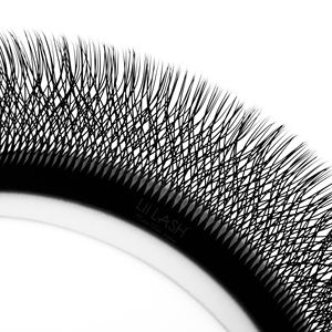 Premade <b>eyelash</b> <b>extensions</b> W russian volume promade lash <b>extension</b> fans woven W lash wholesale <b>mink</b> - Product Image 1