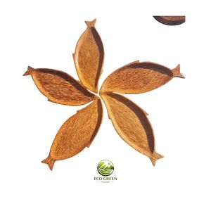 Plato de Frutas de Madera de Coco de Primera Calidad - Juego de 3 Tazones con Forma (Manzana, Pera, Piña) - Grano Natural, Sostenible - Product Image 3