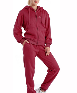 Conjunto Deportivo de Invierno para Mujer, con Capucha y Pantalones a Juego, Diseño Sólido de Dos Piezas, Cómodo, Mezcla de Algodón, Estilo Casual y Urbano - Product Image 2