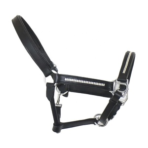 Cabestro de Cuero Personalizado con Placa de Identificación y Hebilla de Latón, Cabestro Premium para Caballos, Equipo Ecuestre - Product Image 1