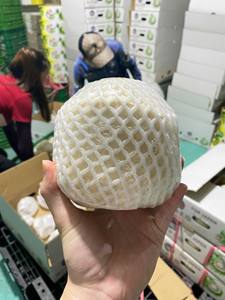 Coco tierno de corte Diamante de Vietnam Premium Trim Agua dulce refrescante y nutritiva Ideal para venta al por menor y al por mayor - Product Image 4