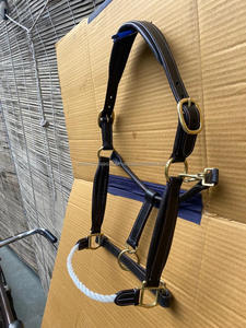 Questrian-se ha añadido un aro, Equipo para caballos, EAD, ollar - Product Image 3