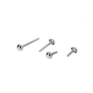 Tornillo de latón de cabeza redonda con cubierta decorativa para paneles de vidrio y soluciones de fijación de espejos - Product Image 1