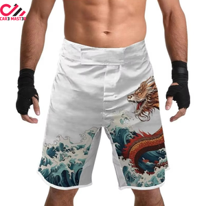 Shorts de boxe MMA pour hommes Fairtex, très demandés, impression personnalisée sur le devant, coupe ajustée, respirants, confortables, tissu polyester et élasthanne, adulte - Product Image 5