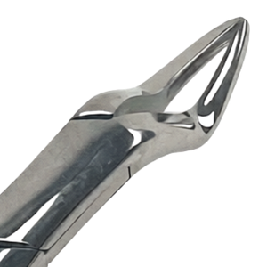 คีมถอนฟัน # เครื่องมือถอนฟันรากบน 65 ราก ทำจากสแตนเลสสตีล สำหรับการผ่าตัด จับถนัดมือ ได้รับมาตรฐาน CE - Product Image 5