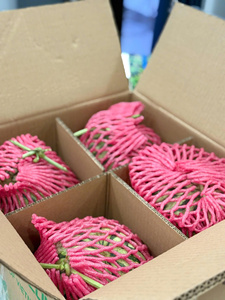 Sandía Fresca Sin Semillas de Vietnam – Pulpa Roja Premium, Alta Dulzura para Compradores Internacionales - Product Image 1