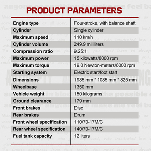 Motocicleta Todoterreno ZonSen Nuevo Diseño con Motor <span class=keywords><strong>CGB</strong></span> de 250 cc Enfriado por Aire, Gran Cilindrada, Potente y de Alto Rendimiento - Product Image 2