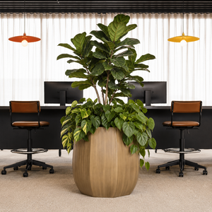 Maceta para plantas de exterior de FRP, resistente al viento, con acabado granulado camel, tipo contenedor barril de ocho lados, para terraza, 6 unidades, lote al por mayor, proveedor - Product Image 6