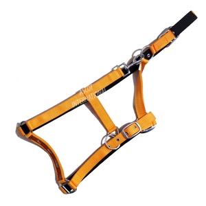 Vente en gros de licous d'équitation de style selle anglaise avec gravure de créateur raccords SS à sangle en nylon du fabricant indien - Product Image 5