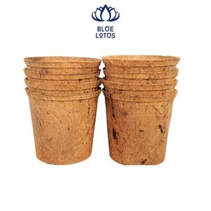 Pots en fibre de coco biodégradables écologiques de haute qualité, très demandés, pour la germination des graines et la pépinière. - Product Image 1