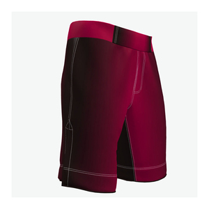 Shorts d'entraînement de boxe, shorts de compétition, arts martiaux mixtes, sublimation, shorts de combat MMA de haute qualité, logo personnalisé, shorts MMA pour hommes - Product Image 2