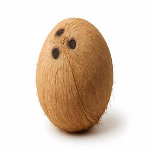 Noix de coco à bon prix - Product Image 6