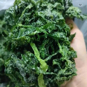 Gourmet Green Seaweed <b>Powder</b> Fine <b>Texture</b> Naturally Salty Sea Vegetable For International Supermarkets And Retail Partners - Product Image 5