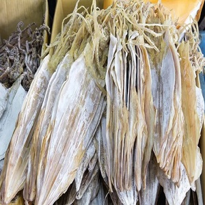 Wholesale High Quality Dry Cuttlefish Seafood Sun Dried Cleaned <b>Box</b> Packed Origin Export Bulk Supplier Grade Low-Fat - Product Image 4