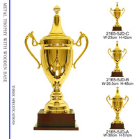 57cm 48cmm42cm Trophée en métal en gros Économie Grand Prix Médailles et trophées d'escrime pas cher Trophées de cyclisme avec socle en bois