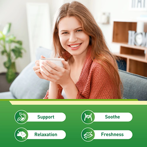 Sachets de thé à la menthe poivrée sans caféine, prêts à l'emploi (OEM/ODM), favorisent la digestion et la fraîcheur buccale, 20 sachets - Product Image 2