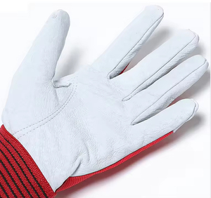 Assembly <b>Gloves</b> Made Of Goat Grain Leather And Elasticated Wrist With Closure On It Factory Price Soft <b>Driver</b> <b>Gloves</b> - Product Image 2