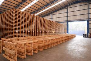 Palette en bois d'usine - Palette en bois naturel au prix le plus bas, taxes les plus basses, palettes EPAL 1200x800 - Product Image 5