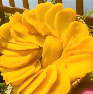 Private Label Soft Dried Mango Vietnam Factory OEM ODM Manufacturer Wholesale Export Supplier Bulk Packaging <b>Solutions</b> - Product Image 5