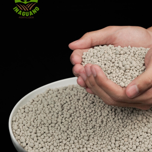Hot Selling Product From Indonesia Dolimite Granular Biological Fertilizer for Refreshes the <b>soil</b> and <b>plants</b> - Product Image 6