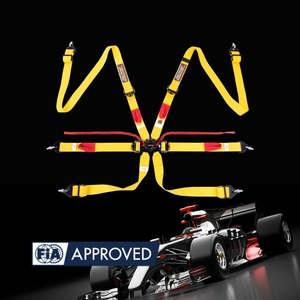 Arnés de Seguridad para Carreras de Autos SPORT PLUS 3 Homologado por la FIA 8853 2016, Cinturón de 6 Puntos con 16 Opciones de Color Estándar - Product Image 2