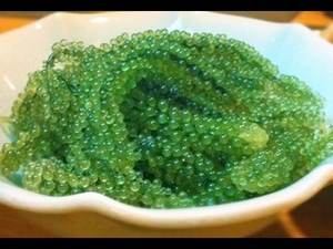 องุ่นทะเลอบแห้งออร์แกนิกจากเวียดนาม - Product Image 5