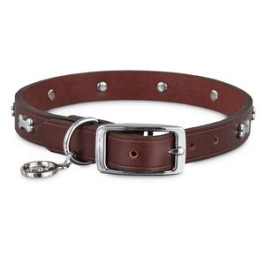 Collar de Cuero Genuino para Perro de la Colección Heritage, Calidad de Exportación de Divine International - Product Image 2