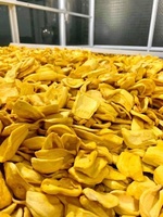 Hoogwaardige knapperige jackfruitchips, natuurlijke gedroogde fruitsnack, groothandel, Vietnamese leverancier Blue Lotus