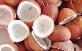 Copra de Coco Seca 100% Pura de Alta Calidad de Vietnam para la Producción de Aceite de Coco, Suministro a Granel - Product Image 4