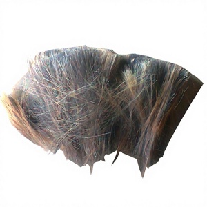 Extensiones de Cabello de Cola de Caballo 100% Ecológicas al por Mayor, Personalizables, con Cepillo, Duración de 3 Años, Hechas en India - Product Image 6