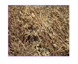 Feuilles de gelée d'herbe noire du Vietnam, matière première pour la transformation alimentaire - Product Image 5