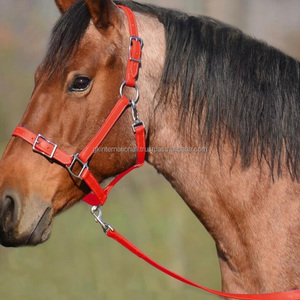 Licou de cheval en nylon équestre sur mesure fantaisie en plusieurs couleurs et tailles personnalisées accessoires en laiton corde de plomb assortie - Product Image 1