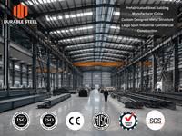 Fabricante de Edificios Prefabricados de Acero en China, Estructura Metálica de Diseño Personalizado, Construcción Industrial y Comercial de Gran Envergadura