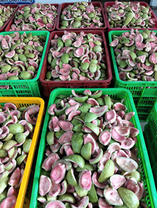 Goyaves séchées de qualité supérieure, saveur tropicale naturelle, approvisionnement en vrac - Product Image 5