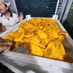 HOT SELLING 2026 <b>Dried</b> <b>Mango</b> Slices Clean Process, Ideal for Snack and Energy Boost, No Additives, Safe Ingredients - Product Image 6